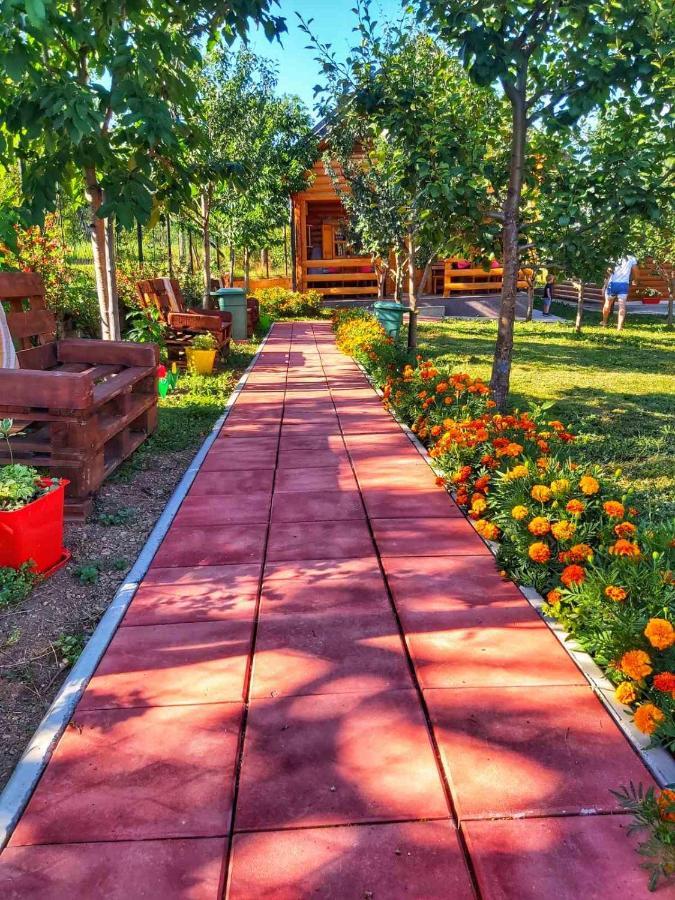 Holiday Bungalows & Food פלאב מראה חיצוני תמונה